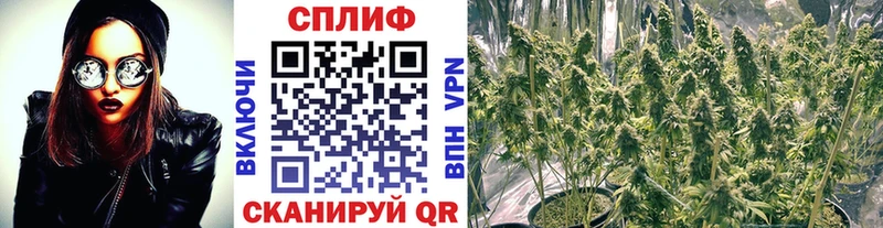 Канабис ГИДРОПОН Зарайск